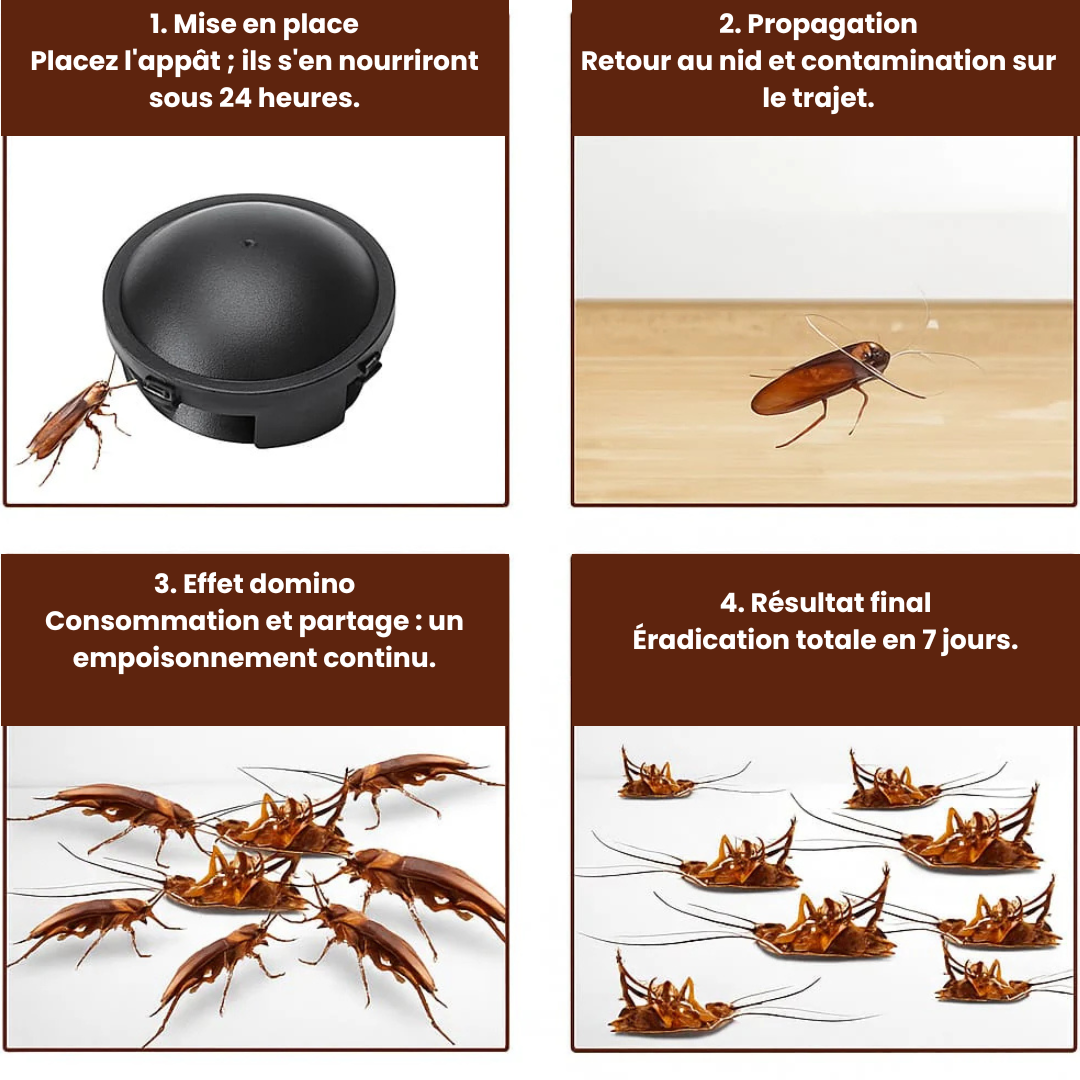 Mode d'utilisation du produit anti-cafards