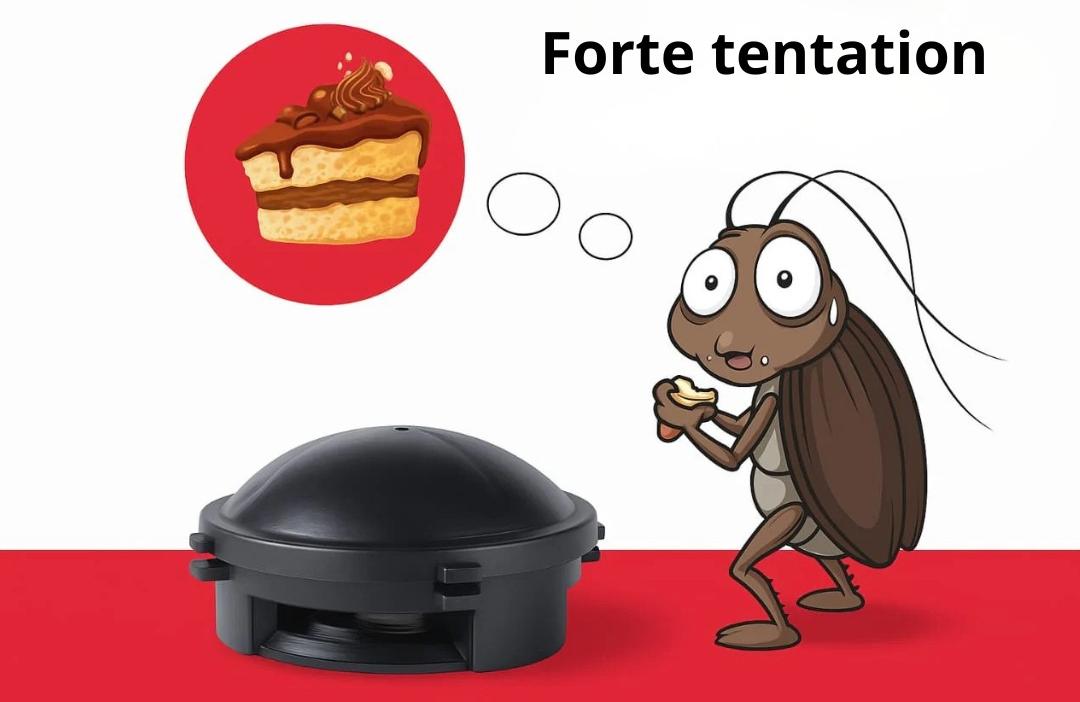 Résultat après utilisation du produit anti-cafards