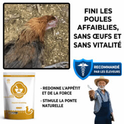 Additif pour œufs